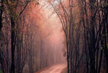 最强补锅！73岁拉涅利将罗马打造成欧洲第1：11场29分 比巴黎还猛.