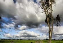 最强补锅！73岁拉涅利将罗马打造成欧洲第1：11场29分 比巴黎还猛.