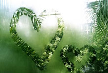 英超：升至第四 切尔西队1-0莱斯特城队.