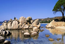 获奖名单揭晓！龚翔宇入选，庄宇珊却无缘，四川女排获安慰奖.